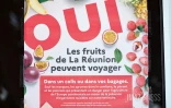 colis postaux de fruits 