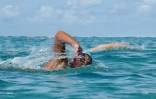 meeting natation 2017 eau libre 