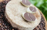 Saint-Pierre : Julien Leveneur, champion de France de dessert ouvre sa pâtisserie