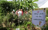 Foire agricole de Bras Panon