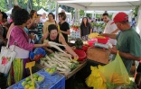 Fête des mères