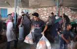 Photo prise le 29 octobre 2023 depuis la frontière entre Israël et la bande de Gaza montrant un nuage de fumée grise s'élever d'un secteur du territoire palestinien, soumis à d'intenses bombardements israéliens 