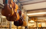 Luthier