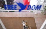 Radio Freedom