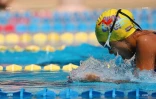 natation 