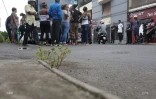 manifestation citalis à la bretagne 