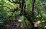 piton d'Anchaing 