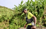 trail UTOI  telmar troisieme 
