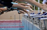 Natation