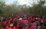 Odyssea 2014