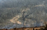 Feu du Maïdo