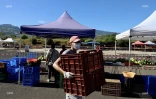marché forain du port le mercredi 1er avril