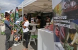 salon nou lé local 2025 