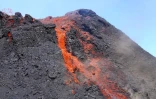 volcan 2015