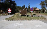 route forestière des tamarins RF9