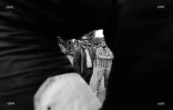 manifestation planteurs 