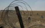 Des barbelés dans un champ dans la région de Dnipropetrovsk, le 9 juillet 2025, en Ukraine