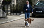 L'ancien ambassadeur du Royaume-Uni aux États-Unis, Peter Mandelson, promène son chien devant sa résidence dans le centre de Londres, le 20 avril 2026