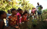 Plantation de plantes endémiques