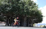 76ème édition du tour cycliste de La Réunion