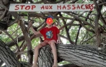 Rassemblement citoyen devant les arbres du bassin pirogue