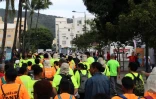 Marche des Camélias