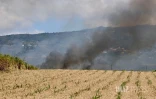 Sainte-Marie : important incendie dans un feu de cannes à Terrain Élisa