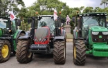 opération escargot planteurs