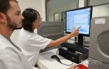  chikungunya analyse sang 
