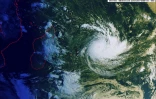 cyclone Joaninha