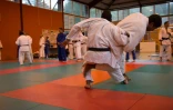 Judo