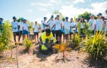 Le Port : les élèves du lycée Léon Lépervanche en action pour la préservation de leur patrimoine