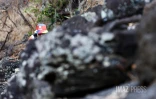 Grand raid 2025
