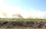 Feu de cannes à Sainte-Suzanne 31 août 2016