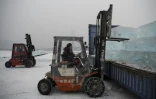 Des travailleurs chargent sur des camions des blocs de glace découpés dans la rivière Songhua, le 10 décembre 2019 à Harbin, en Chine