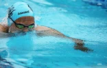 meeting natation 2017
