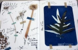 expo le songe bleu 