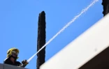 incendie trinité 