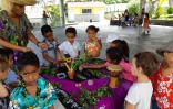 Journée créole à l'école du Guillaume
