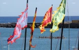 Dragon boats au port 2016