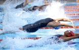  Natation championnat de la réunion bassin 25 mètres 