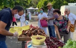 Saint-Pierre : un marché forain dédié au personnel de santé