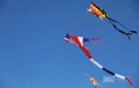 cerfs-volants à saint-pierre 