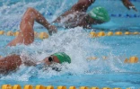 natation 