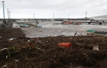 Cyclone Bejisa
