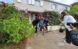 permis de planter à saint-denis 