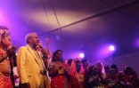 Dipavali 2016 à Saint-André - Défilé 