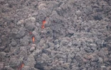 Volcan