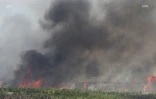 Feu de cannes à Sainte-Suzanne 31 août 2016