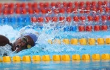 Meeting natation 2015